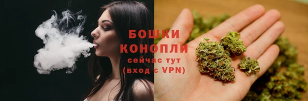 гидропоника Балабаново
